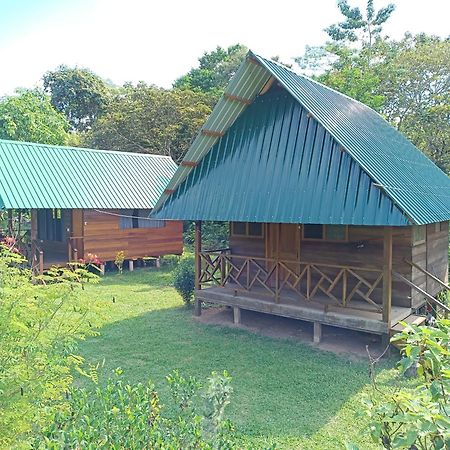 Quirquincho House Lodge ปูแอร์โต มัลโดนาโด ภายนอก รูปภาพ