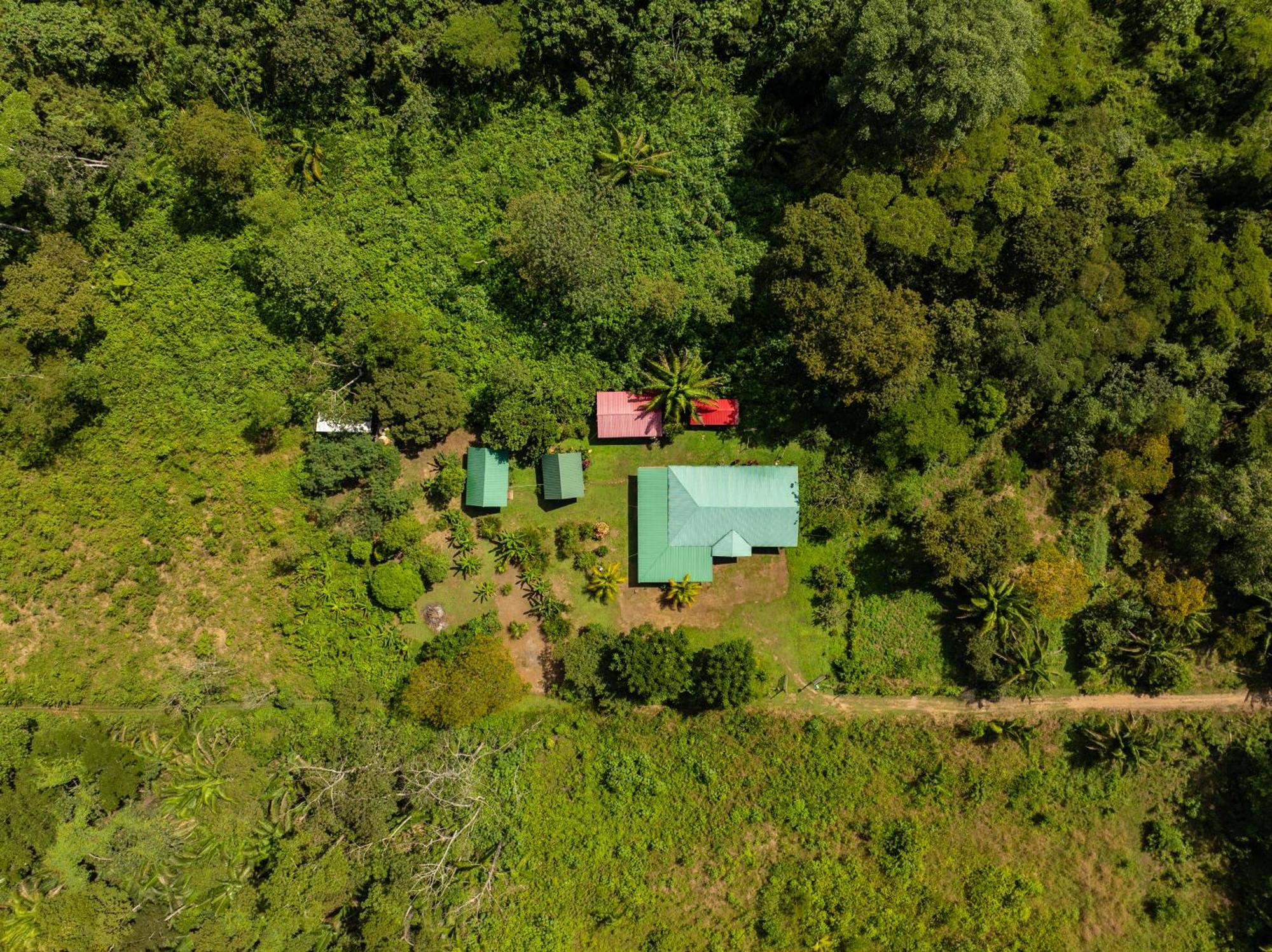 Quirquincho House Lodge ปูแอร์โต มัลโดนาโด ภายนอก รูปภาพ